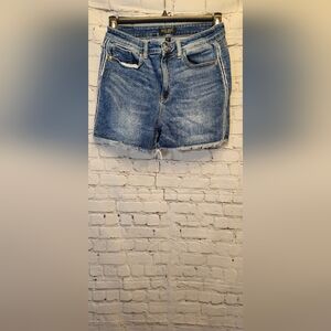 Judy Blue Women's Blue Jean Shorts